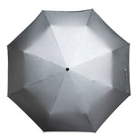 Falconetti MiniMax Opvouwbare Paraplu Zilver-Zwart Falconetti 